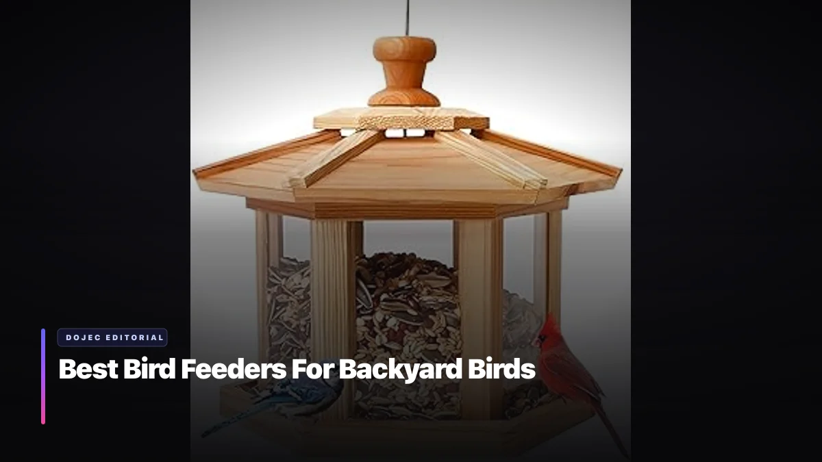 Best Bird Feeders For Backyard Birds