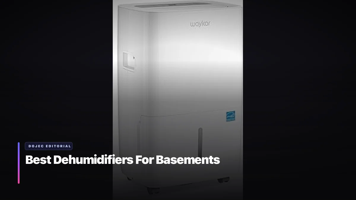 Best Dehumidifiers For Basements