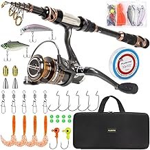 Best Fishing Rods For Beginners