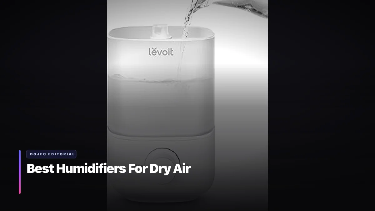 Best Humidifiers For Dry Air
